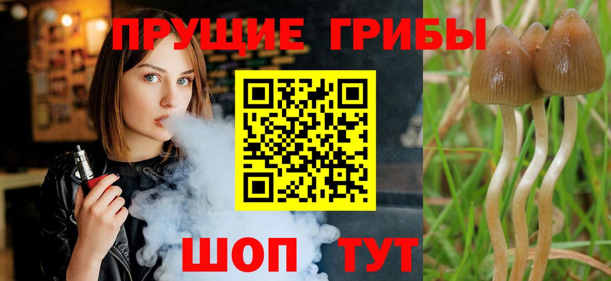 где купить наркоту  Псилоцибиновые грибы прущие грибы  Усолье-Сибирское  Вход с VPN  Псилоцибиновые грибы мицелий 